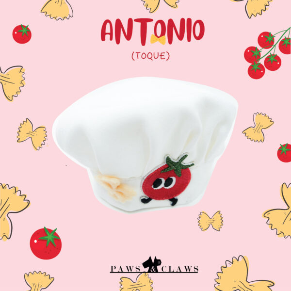 Antonio (Toque)