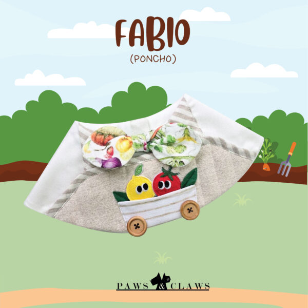 Fabio (Poncho)
