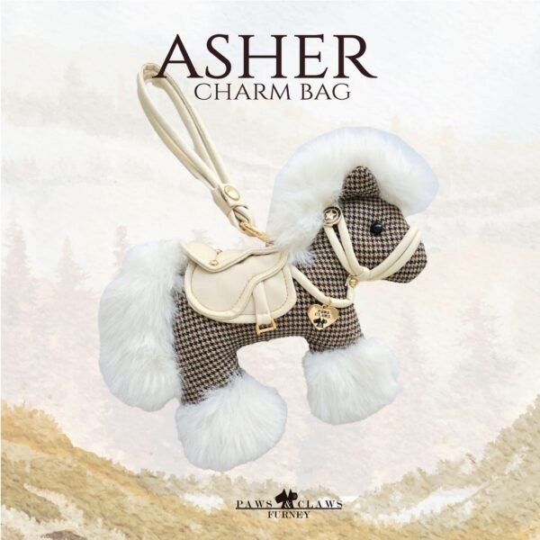 Asher (Charm bag)